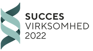 Ravn-IT-Succesvirksomhed-forsidel