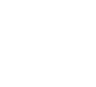 Dansk Studie Center